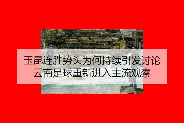 yu-kun-lian-sheng-shi-tou-wei-he-chi-xu-yin-fa-tao-lun-yun-nan-zu-qiu-chong-xin-jin-ru-zhu-liu-guan-cha-2-451.jpg